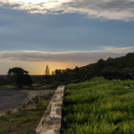 Ungüento de aloe vera para tratar quemaduras solares